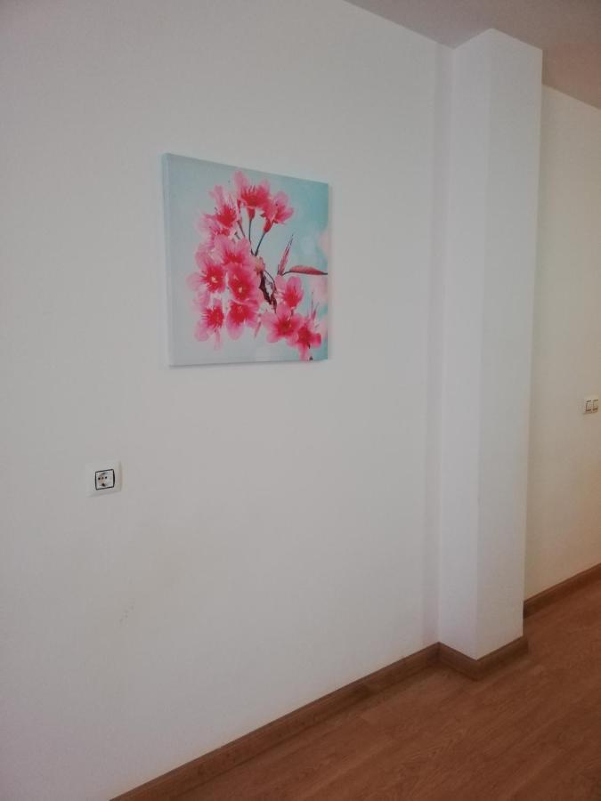 Apartamento En Primera Linea De Vera Playa Naturista! Eksteriør billede