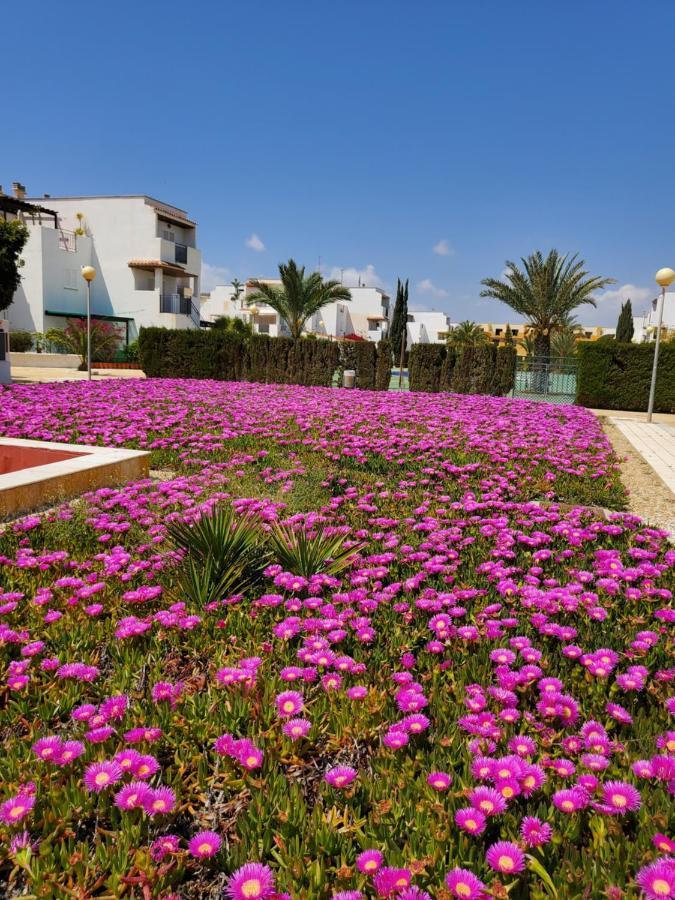 Apartamento En Primera Linea De Vera Playa Naturista! Eksteriør billede
